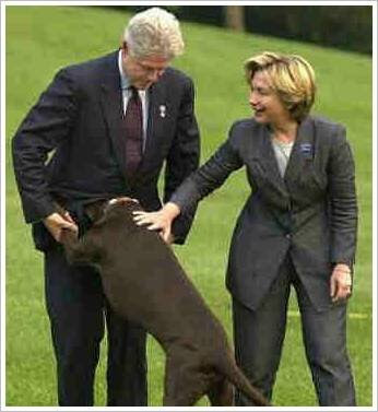 bill+clinton+dog.bmp