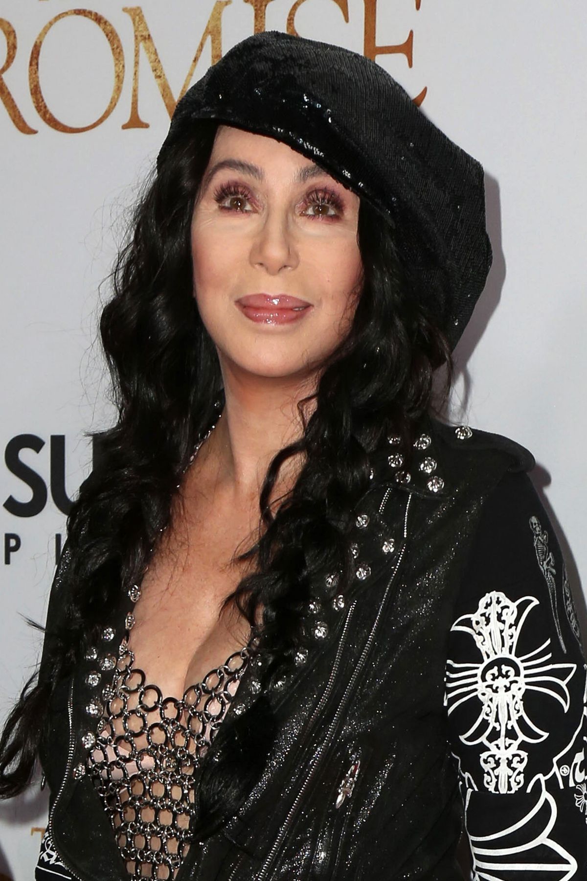 cher-at-the-promise-premiere-in-hollywood-04-12-2017_1.jpg