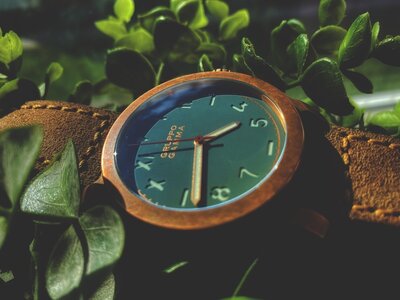 86F35C0B-4A04-47B8-B089-45C09FD6B357_1_105_c.jpeg