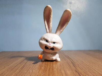 angry_rabbit_1603015039_391abbe0.jpg