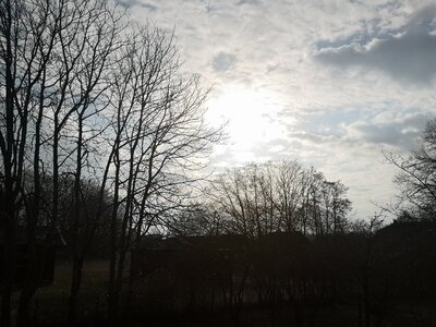 IMG_20210324_162519.jpg
