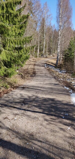 IMG_20210405_113035.jpg