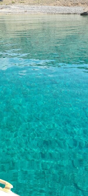 20210728_164313.jpg