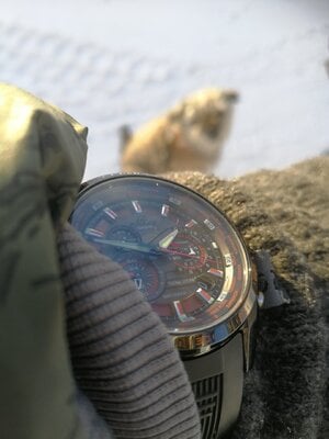 IMG_20220209_134648.jpg