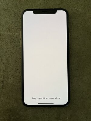 Iphone11_.jpg