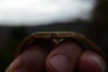 DSC_3340.JPG