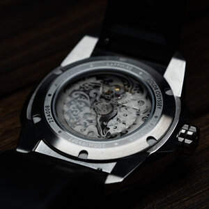 1x1-wb1954-caseback.jpg