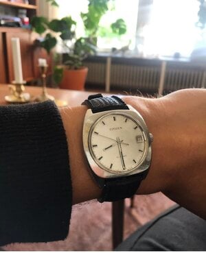 IMG_3635.jpeg