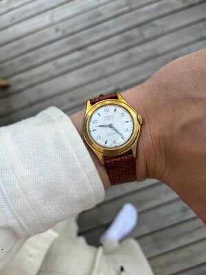 IMG_3398.jpeg