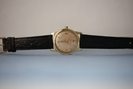 Omega Seamaster Automatic - Hammarautomat - 14k solid guld - 1954 (1).JPG