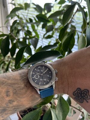 IMG_2365.jpeg