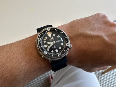IMG_4212.jpeg