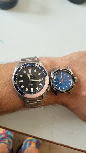 1000005400.jpg