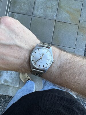 IMG_3986.jpeg