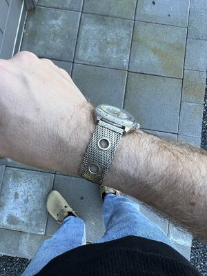 IMG_3985.jpeg