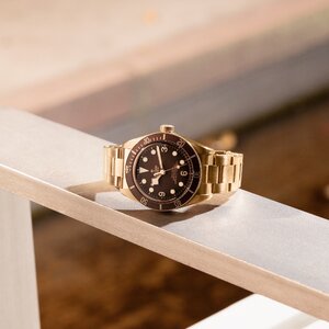 TUDOR-2020-S28-LS-960.JPEG