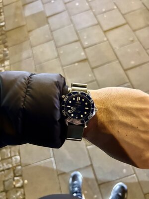 IMG_2283.jpeg