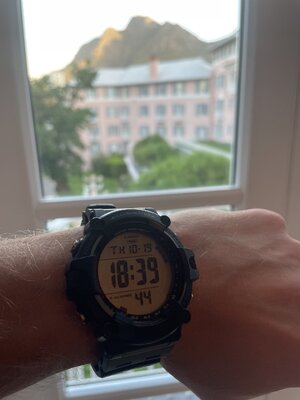 IMG_8320.jpeg