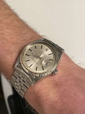 IMG_7200.jpeg