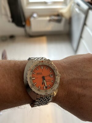 IMG_1801.jpeg