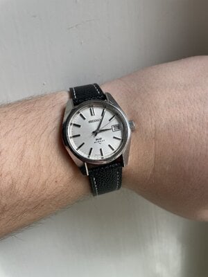 IMG_0378.jpeg