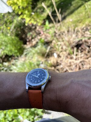 IMG_1017.jpeg