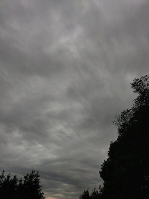 IMG_20240608_190233.jpg