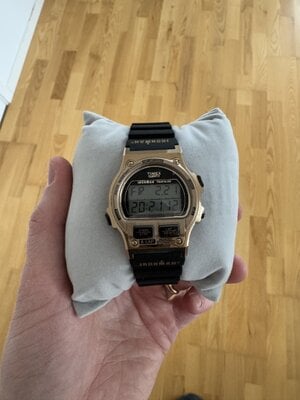 IMG_1919.jpeg