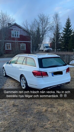 IMG_4861.jpeg