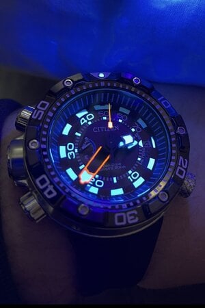 IMG_0304.jpeg