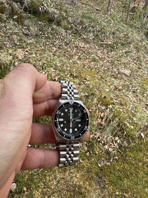 IMG_6526.jpeg