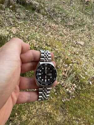 IMG_6529.jpeg