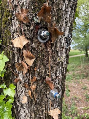 IMG_0217.jpeg