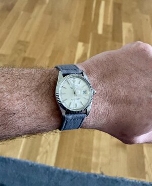 IMG_8994.jpeg
