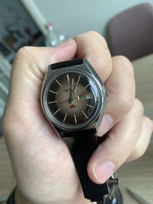 IMG_2095.jpeg