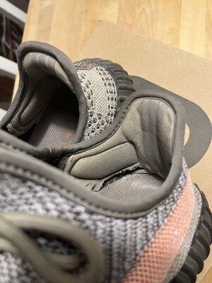 IMG_1231.jpeg