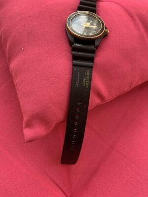 IMG_1091.jpeg