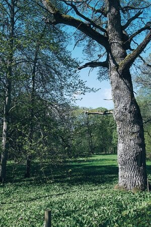 DSC04874_VSCO.jpeg