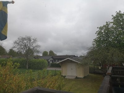 IMG_20250504_075418.jpg