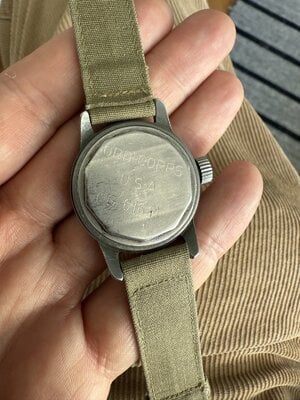 IMG_6577.jpeg