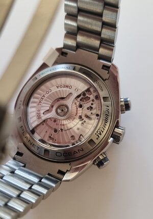 1000010035.jpg