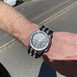 IMG_4367.jpeg