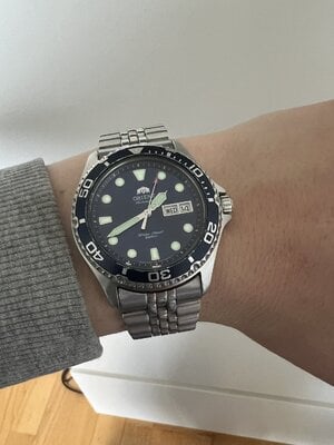 IMG_8312.jpeg