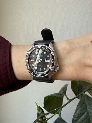 IMG_8645.jpeg