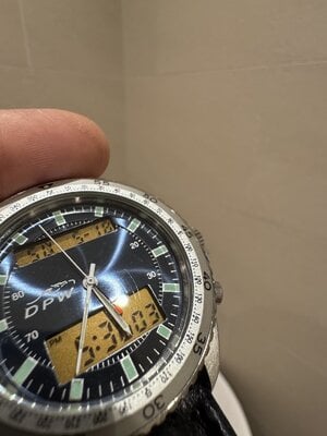 IMG_2195.jpeg