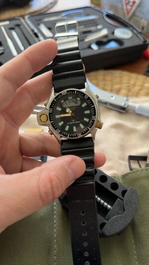 IMG_1193.jpeg