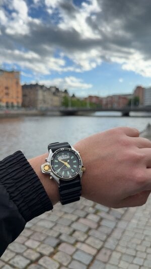 IMG_1203.jpeg