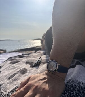 IMG_7866.jpeg