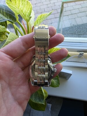 20250520_131847.jpg
