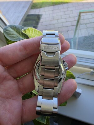 20250520_131939.jpg